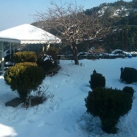 The Swiss Village Resort Nainital Bagian luar foto